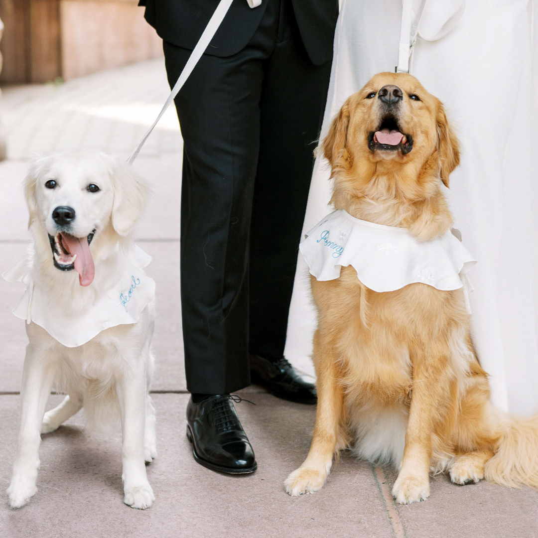 Summer Weddings at The Van Dusen Mansion